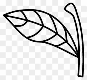 Apple Stem And Leaf - Free Transparent PNG Clipart Images Download. - Transparent PNG Free Download