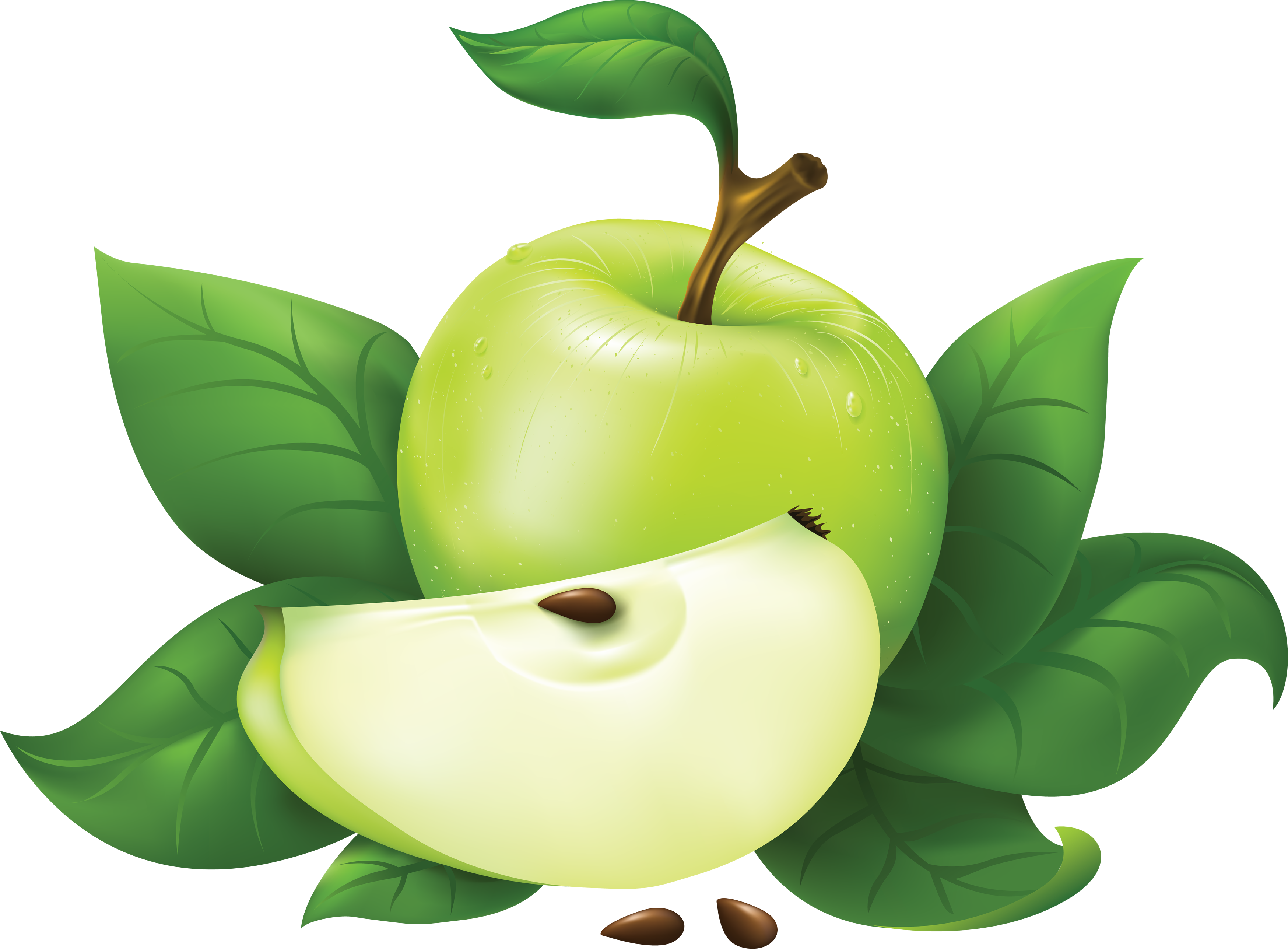 Download Green Apple Clipart - Green Apple Png - Free Transparent PNG Clipart Images Download. - Transparent PNG Free Download