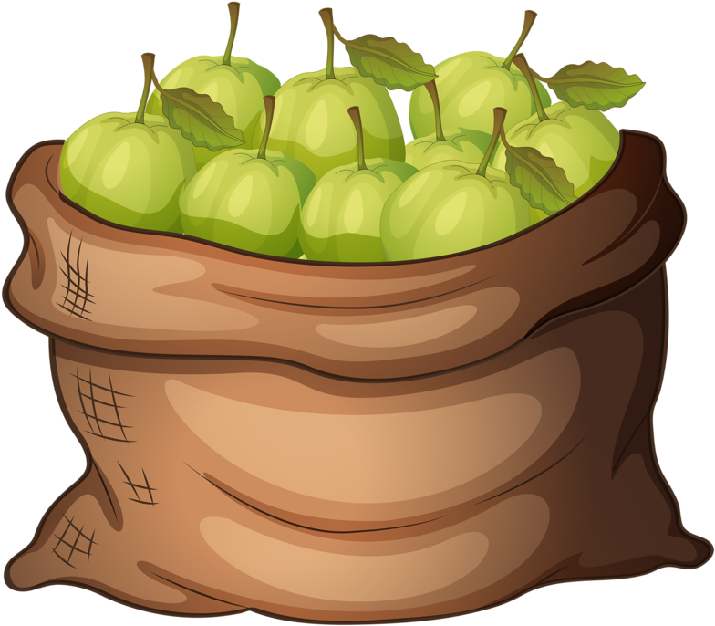 Apples - Clip Art Apples In A Bag - Free Transparent PNG Clipart Images Download. - Transparent PNG Free Download