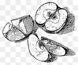 Free Vector Sliced Apple Clip Art - Apple Slice Line Art - Free Transparent PNG Clipart Images Download. - Transparent PNG Free Download