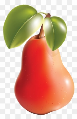 Pear Png Image - Pear And Apple Vector - Free Transparent PNG Clipart Images Download. - Transparent PNG Free Download