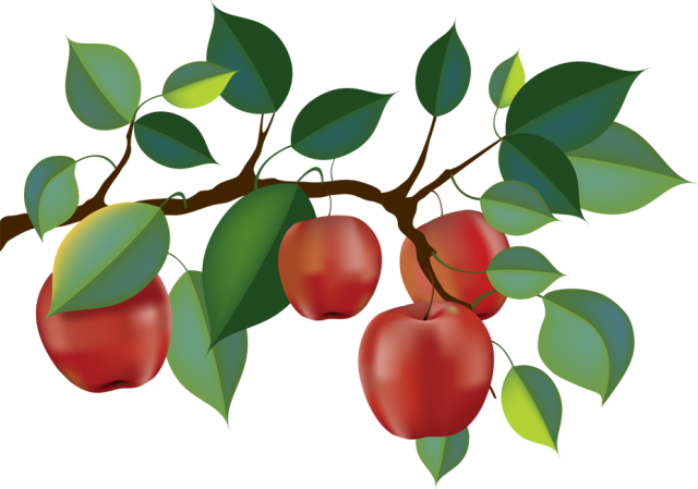 Top 88 Apple Tree Clip Art - Apple Tree Branch Clipart - Free Transparent PNG Clipart Images Download. - Transparent PNG Free Download