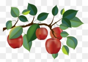 Top 88 Apple Tree Clip Art - Apple Tree Branch Clipart - Free Transparent PNG Clipart Images Download. - Transparent PNG Free Download