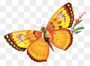 Butterfly Freebie By Chocolate-rabbit On Deviantart - Mariposa Apple Label - San Francisco, Ca - Free Transparent PNG Clipart Images Download. - Transparent PNG Free Download