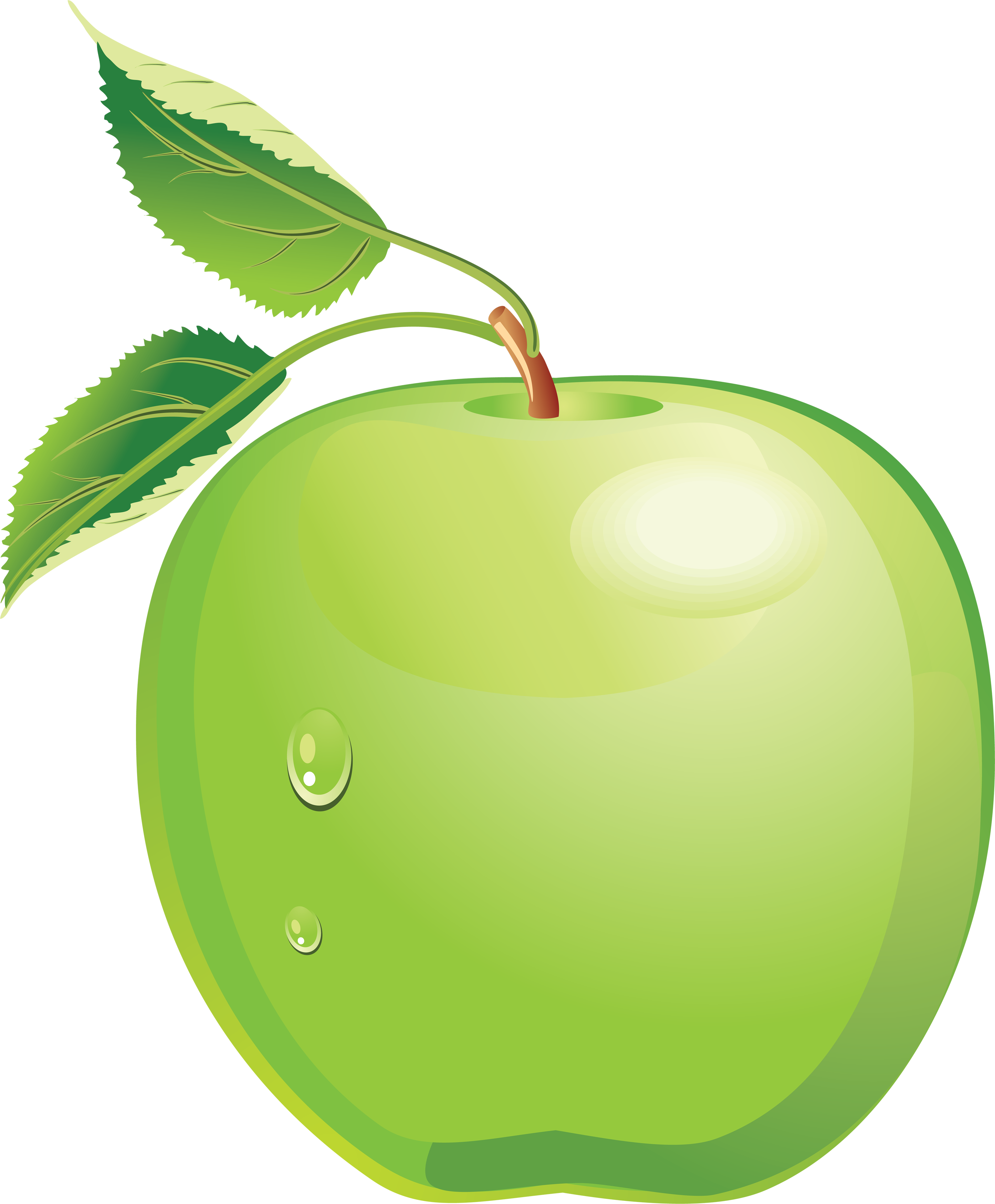 Green Apple Clip Art - Green Apple Clipart Png - Free Transparent PNG Clipart Images Download. - Transparent PNG Free Download