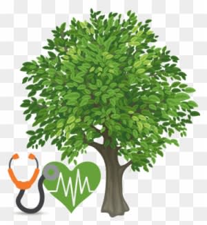 Arbor West Services - Apple Tree Clipart - Free Transparent PNG Clipart Images Download. - Transparent PNG Free Download