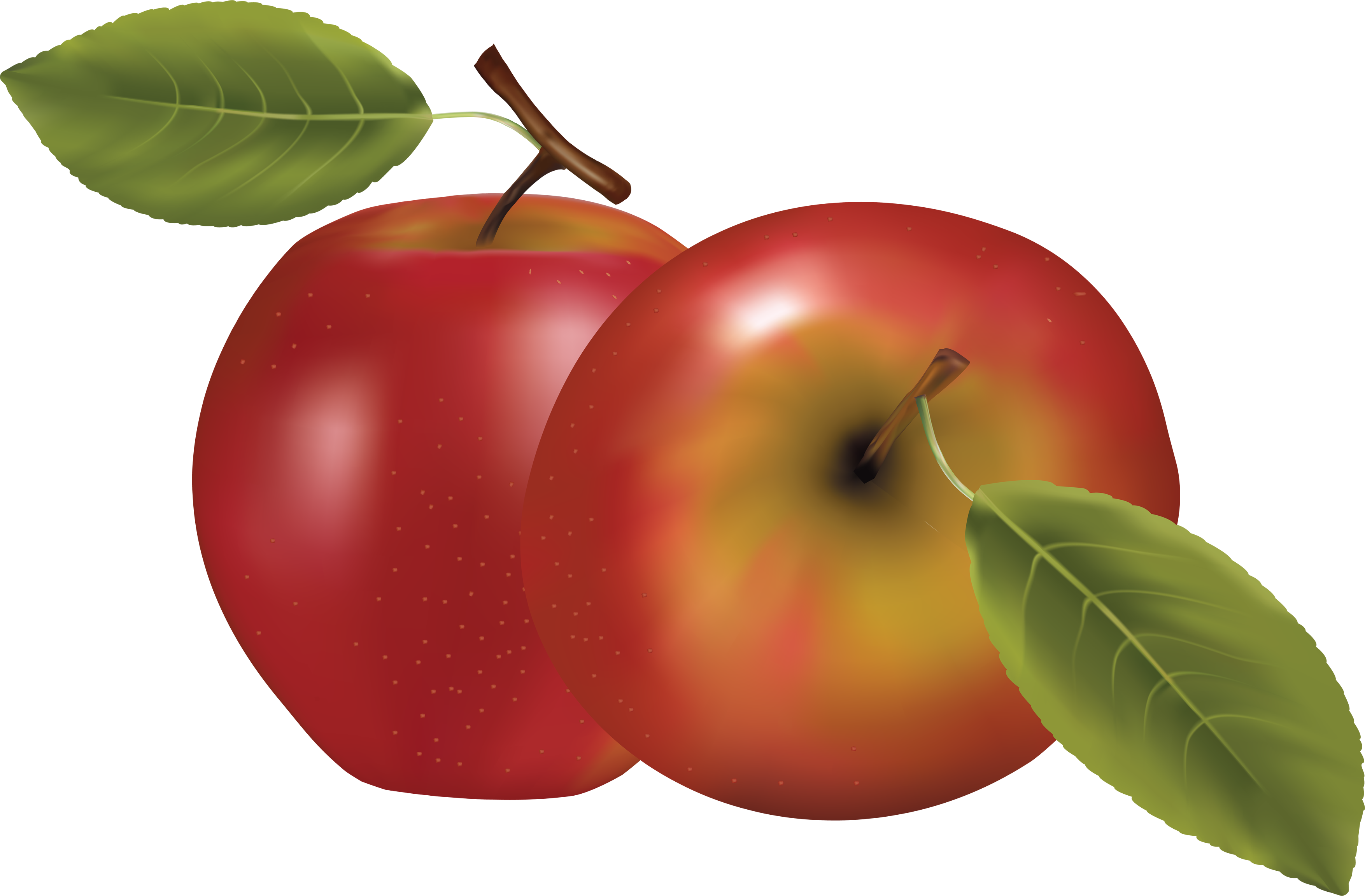 Apple Png - Clipart Transparent Background Apple - Free Transparent PNG Clipart Images Download. - Transparent PNG Free Download