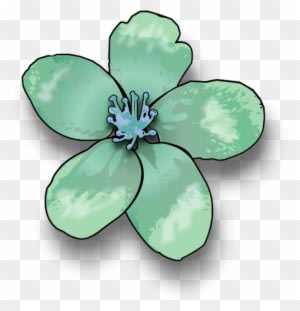 Vector Clip Art - Apple Blossom Clip Art - Free Transparent PNG Clipart Images Download. - Transparent PNG Free Download