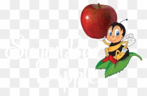 Image - Sugar Bee Apples - Free Transparent PNG Clipart Images Download. - Transparent PNG Free Download
