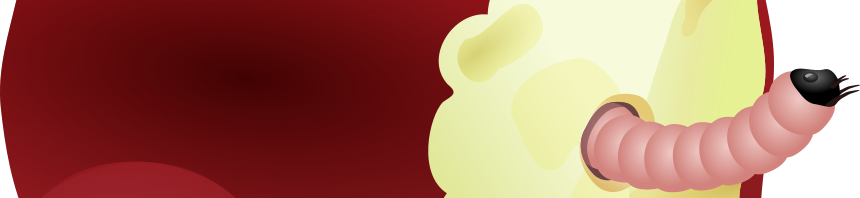 Apple Worm - Apple With Worm - Free Transparent PNG Clipart Images Download. - Transparent PNG Free Download