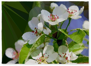 Blossoming Apple Tree Low Poly 5'x7'area Rug - Apple - Free Transparent PNG Clipart Images Download. - Transparent PNG Free Download