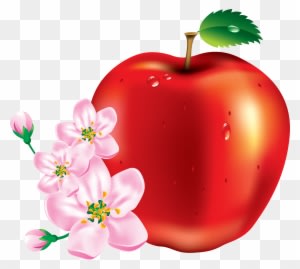 Apple Images Download - Free Transparent PNG Clipart Images Download. - Transparent PNG Free Download