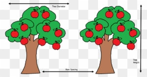 From Syngenta Website - Apple Tree Clipart - Free Transparent PNG Clipart Images Download. - Transparent PNG Free Download