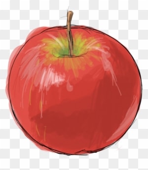 Apple Drawing - Google Search - Painting Of An Apple - Free Transparent PNG Clipart Images Download. - Transparent PNG Free Download