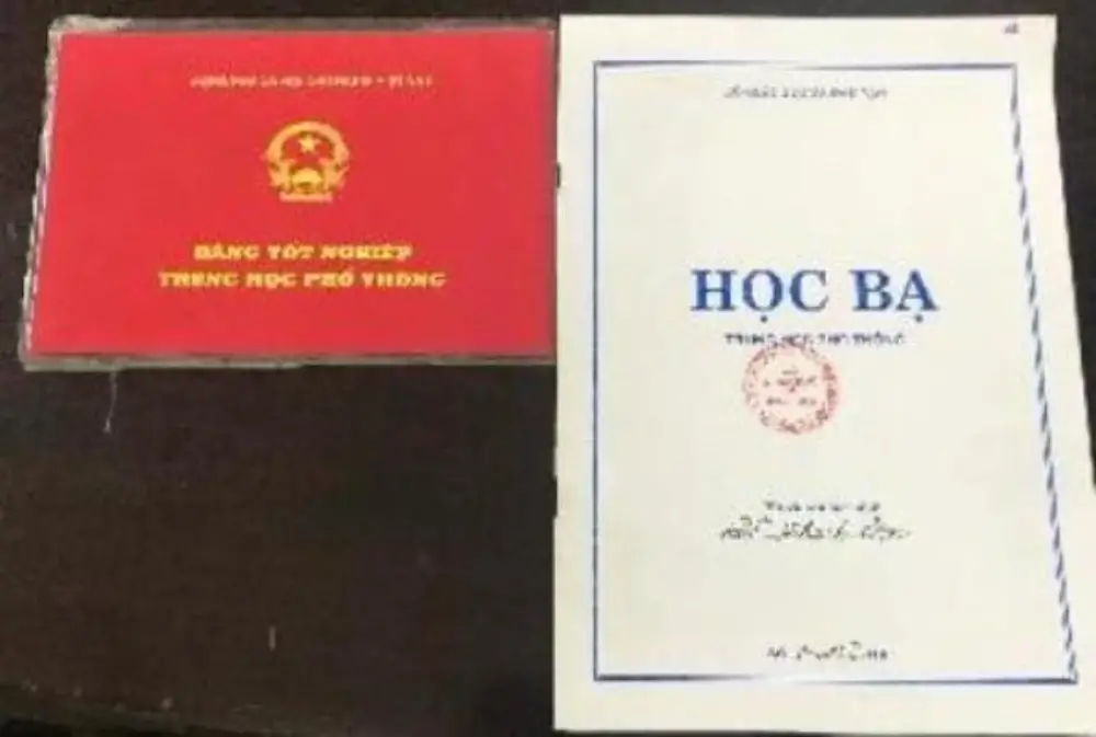 Vụ Làm Giả Học Bạ Cho Học Sinh Du Học Hệ Lụy Nghiêm Trọng Từ Hành Vi Gian Lận