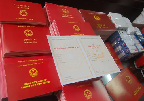 Vụ Làm Giả Học Bạ Cho Học Sinh Du Học Hệ Lụy Nghiêm Trọng Từ Hành Vi Gian Lận