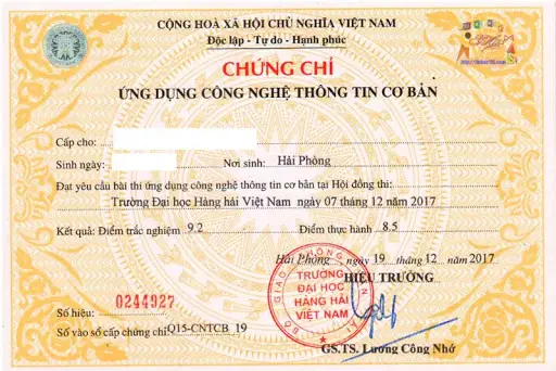 Chứng chỉ Tin học văn phòng - Cần thiết hay không?