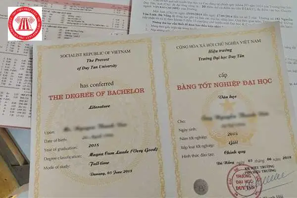 Bằng Đại Học: Quan Trọng Hay Không?