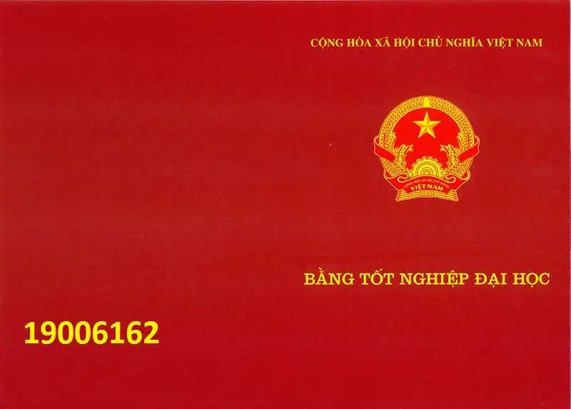 Mua bằng đại học TPHCM online - Giải pháp hiệu quả cho nhu cầu nâng cao trình độ