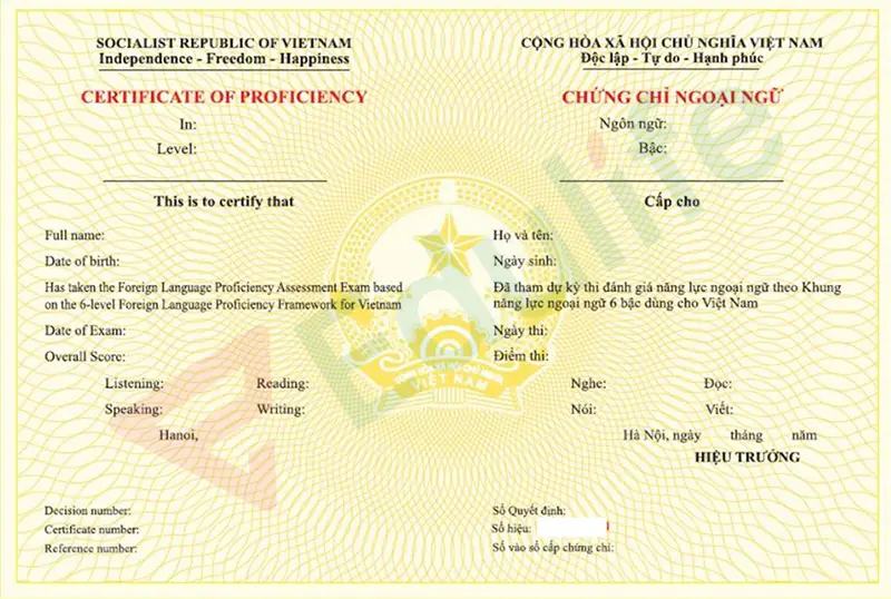 Chứng chỉ tiếng Anh bậc 3 là gì? Nắm vững khái niệm cơ bản