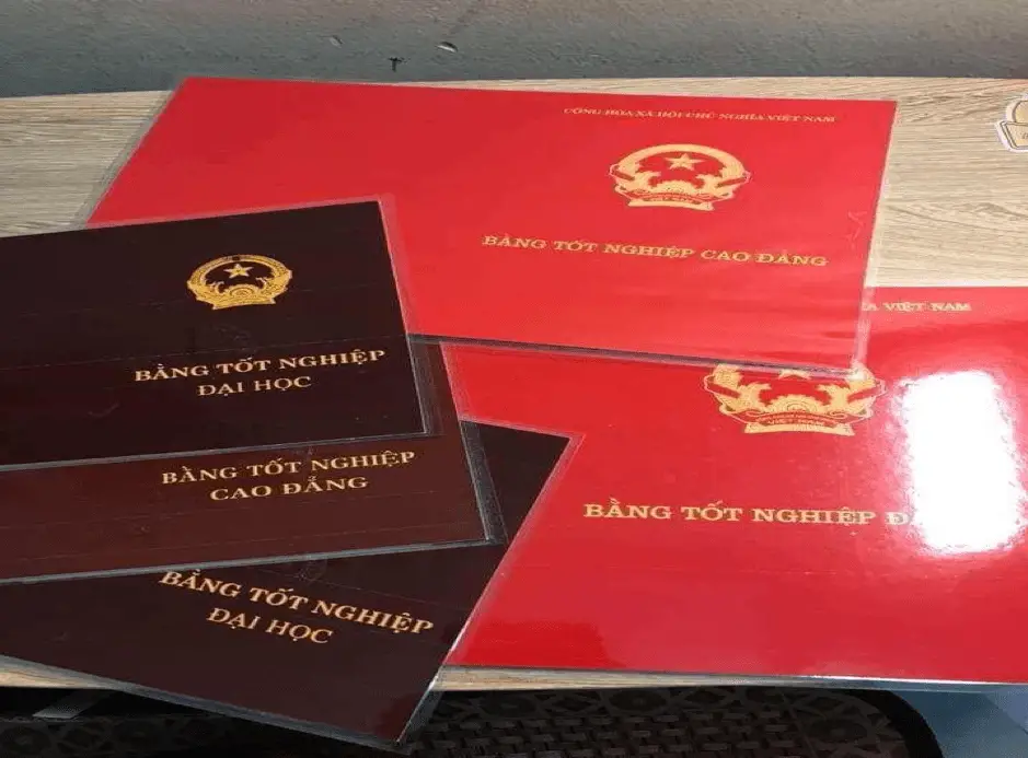 Làm bằng đại học: Giải pháp nhanh chóng, hiệu quả cho tương lai
