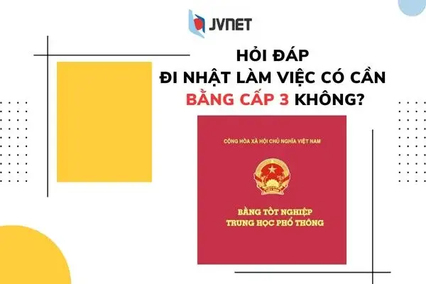 Giả đáp thắc mắc - Không học cấp 3 có đi du học được không?
