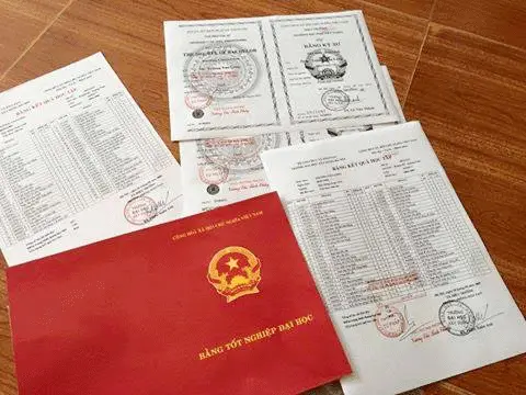 Cấp lại bằng tốt nghiệp đại học: Thủ tục, hồ sơ và quy trình chi tiết