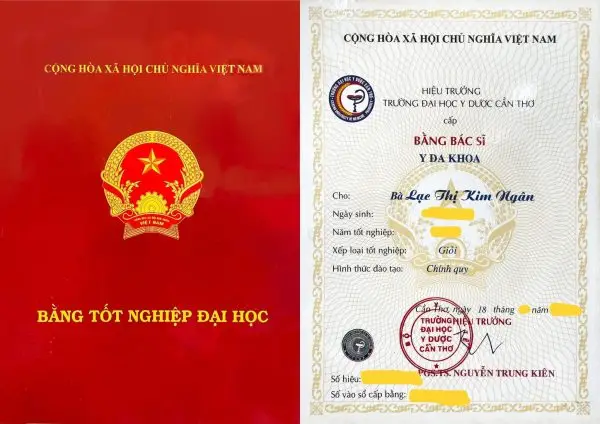 Cấp lại bằng tốt nghiệp đại học: Thủ tục, hồ sơ và quy trình chi tiết
