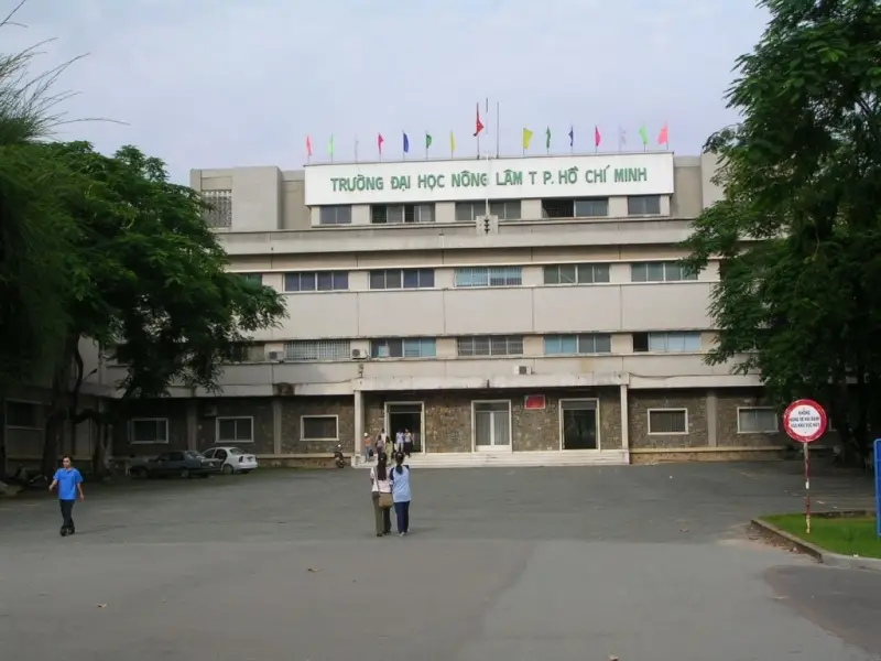 Top Trường Đại Học Đẹp Nhất TPHCM - Nơi Giao Lưu Kiến Thức Và Thẩm Mỹ