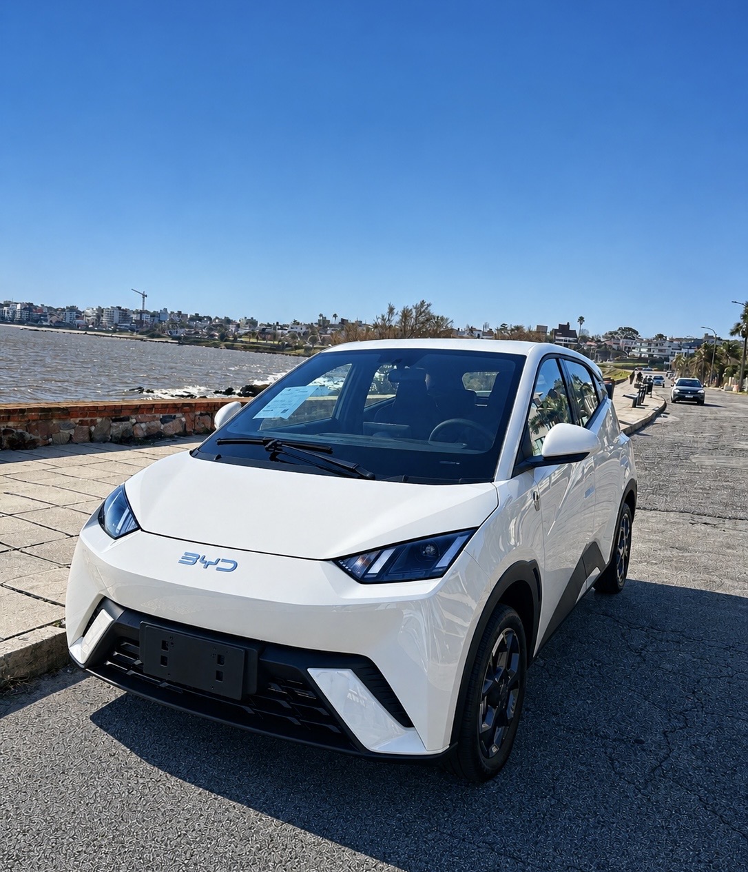Byd Seagull ev300 2026