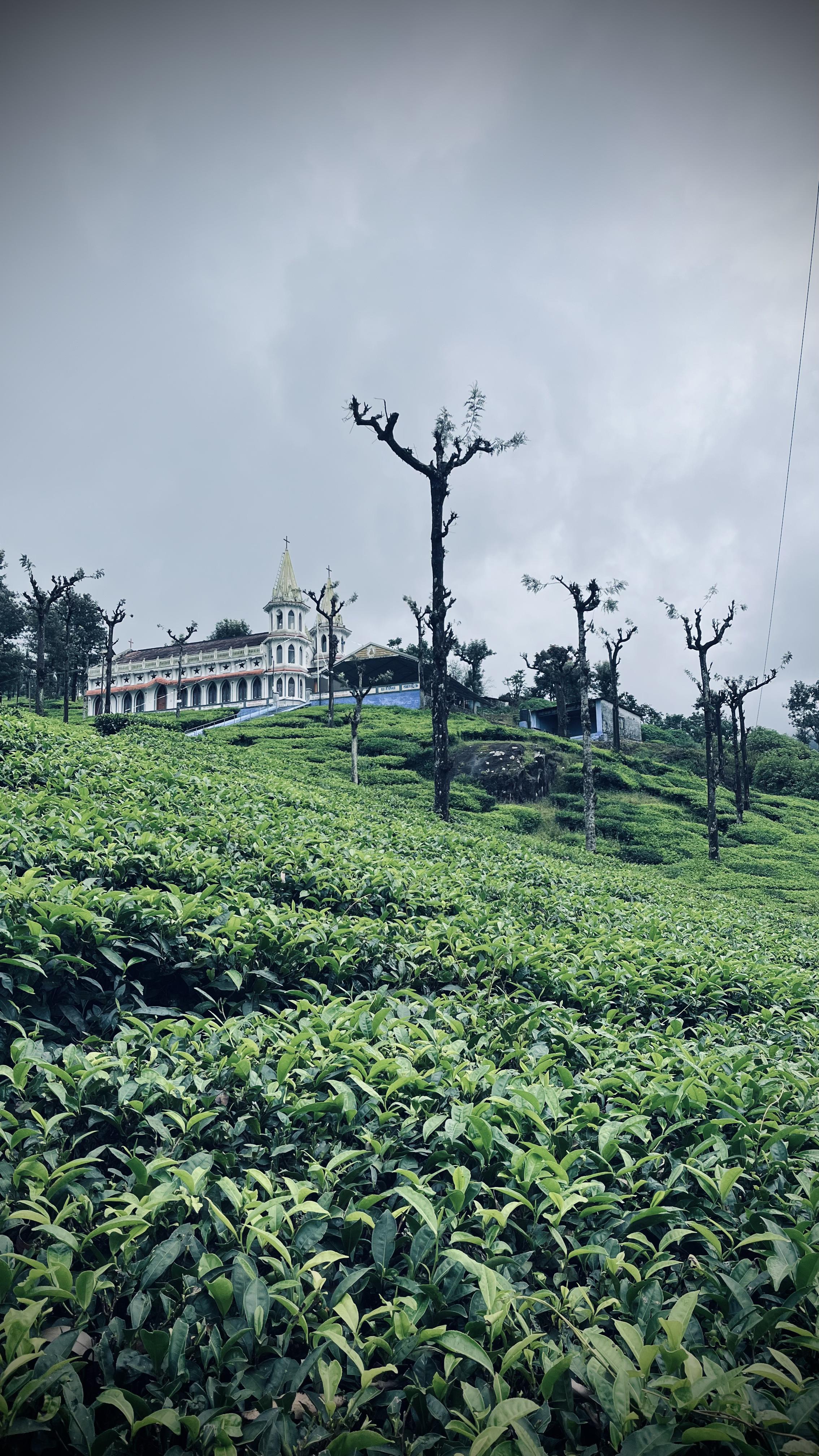 1 Day Valparai Explorer