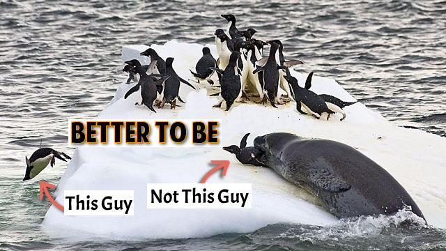 Don't Let the Ice Melt Under Your Feet