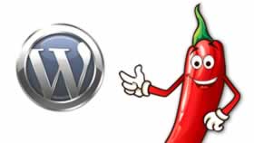 Spicypress Hosting