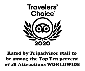 Tripadvisor Top Ten Percent Attraction