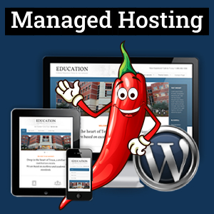 SpicyPress Managed Hosting