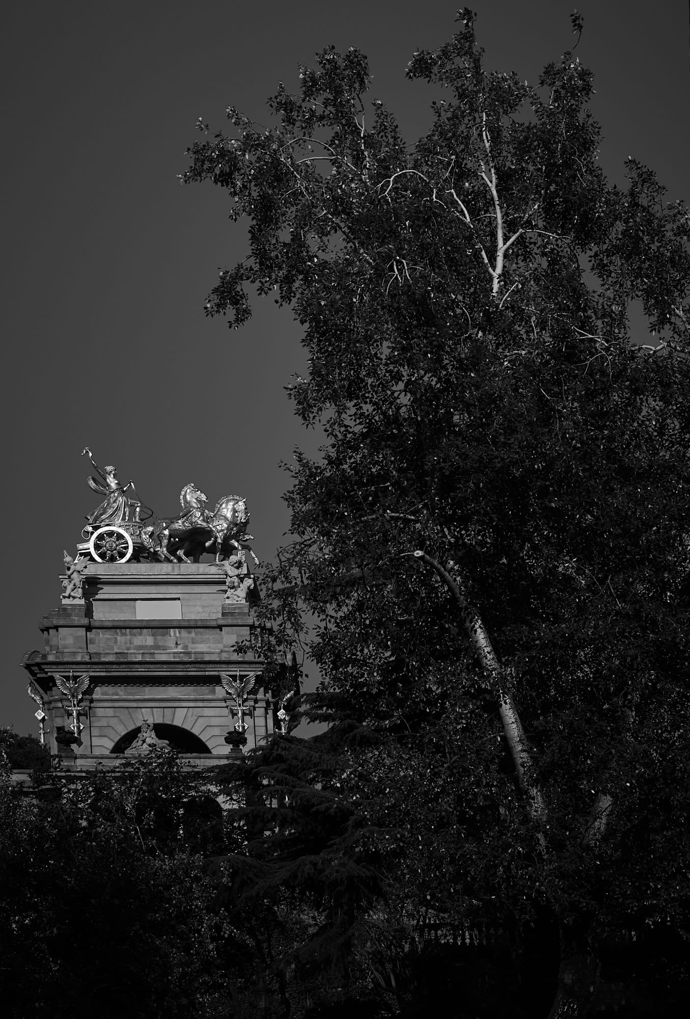 barcelona-web 39