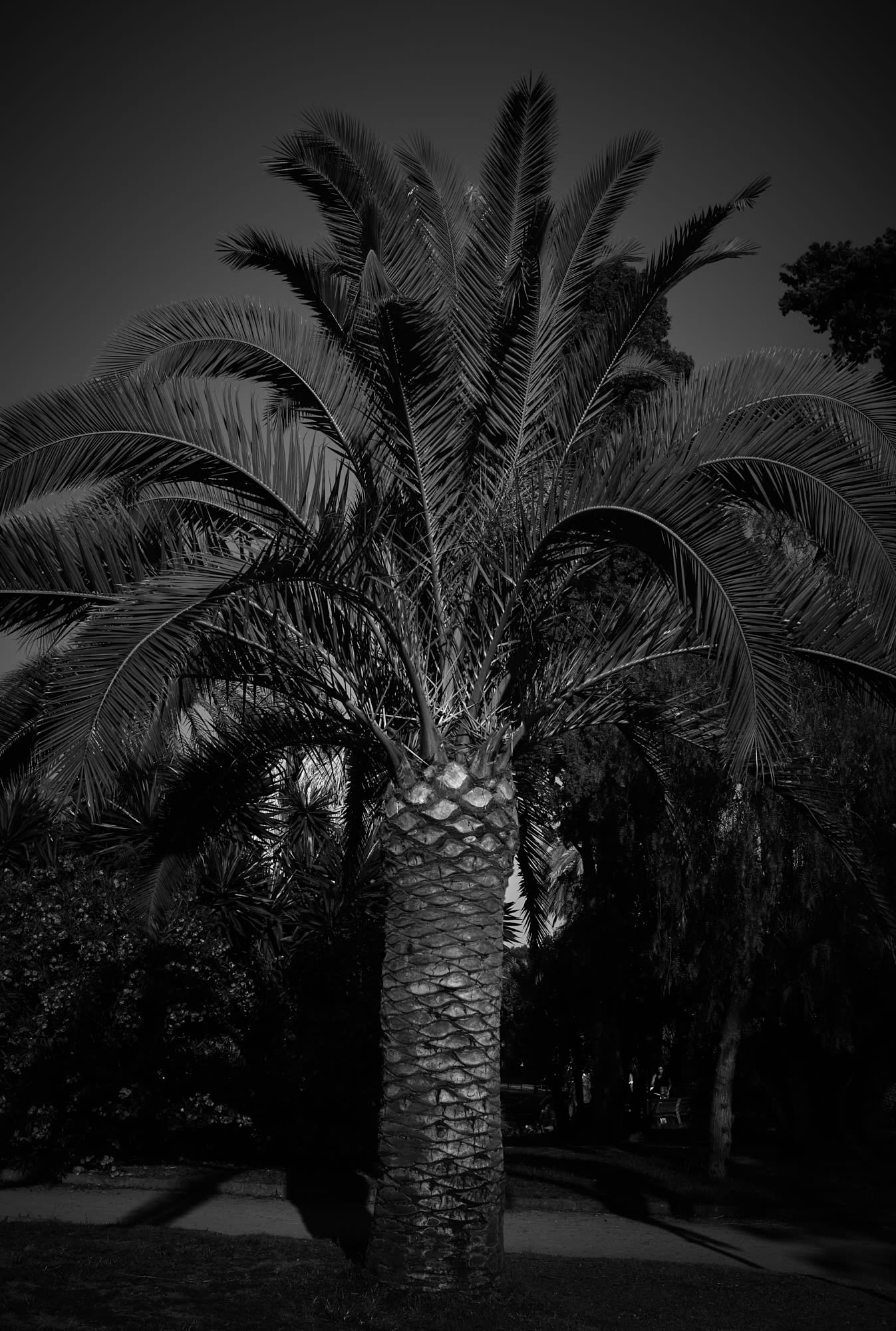 barcelona-web 54