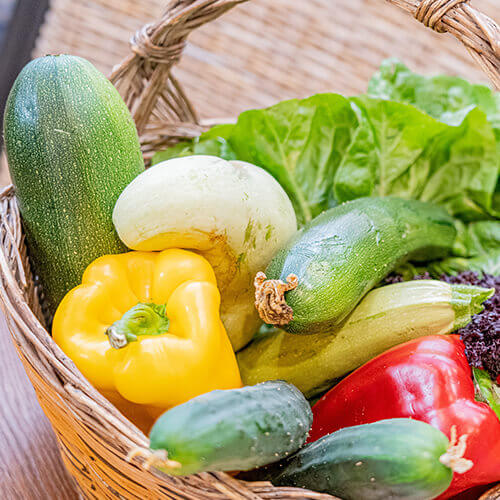 Orto - Petra Bianca - Tenuta Agricola Biologica