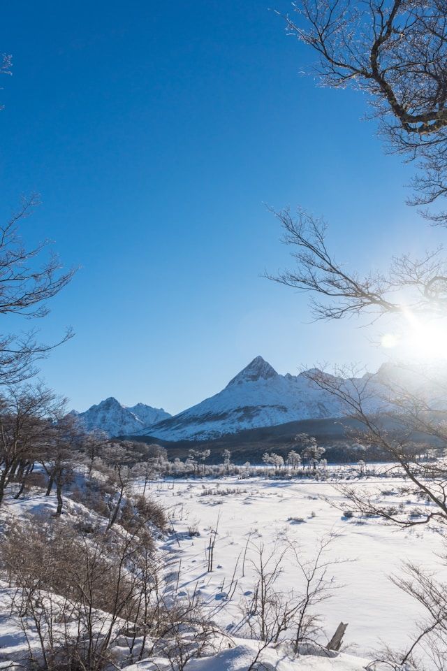 https://copie-back-magellan.onrender.comushuaia parc national terre de feu