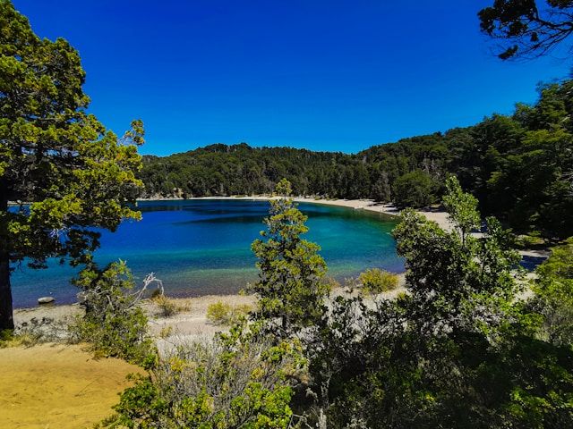 https://copie-back-magellan.onrender.combariloche isla victoria