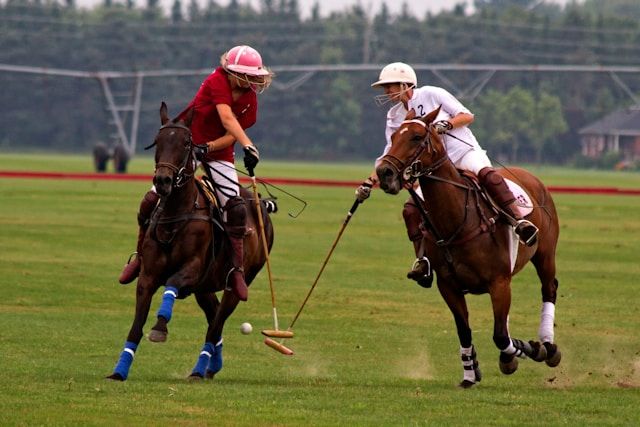 https://res.cloudinary.com/dvtx69f1o/image/upload/v1710187689/buenos_aires_match_de_polo_a_buenos_aires_7b6a165da7.jpg