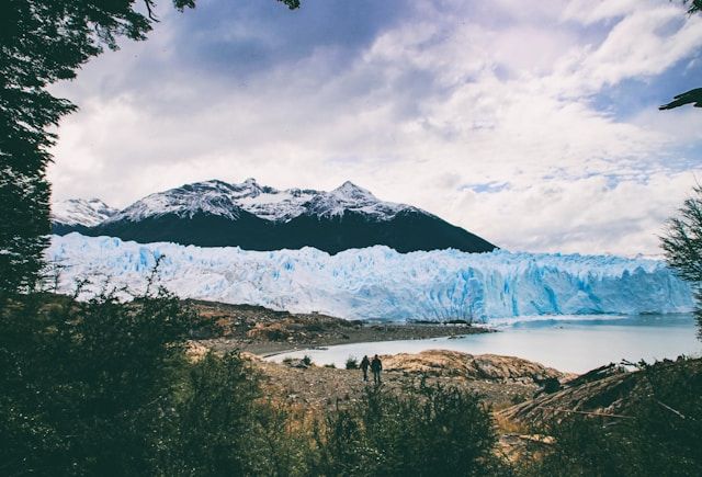 https://copie-back-magellan.onrender.comel calafate perito moreno