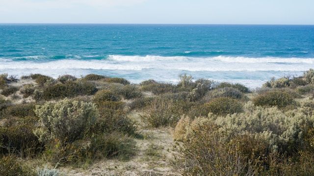 https://res.cloudinary.com/dvtx69f1o/image/upload/v1710351694/puerto_madryn_peninsula_valdes_395edbeed7.jpg