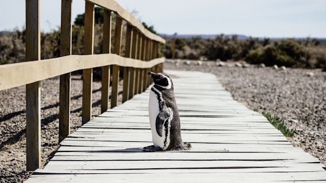 https://res.cloudinary.com/dvtx69f1o/image/upload/v1712942338/estancia_san_lorenzo_53b4e866a0.jpg