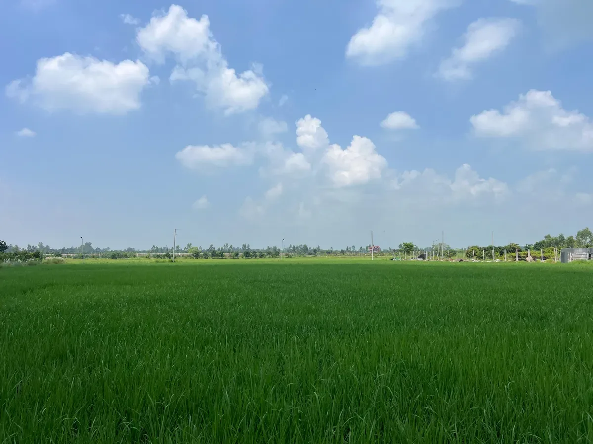Agriculture