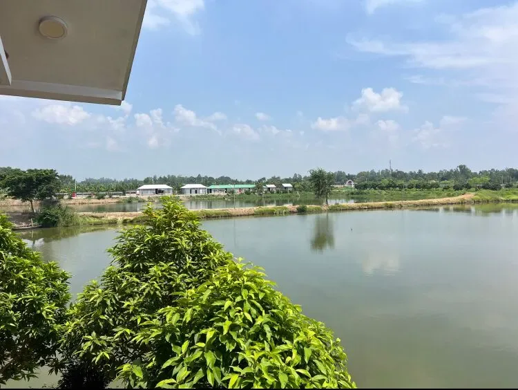 Ponds