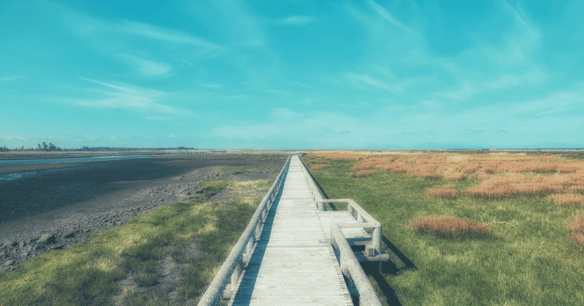 北海道の夏におすすめの避暑地7選!涼しく過ごせる絶景スポット完全ガイド