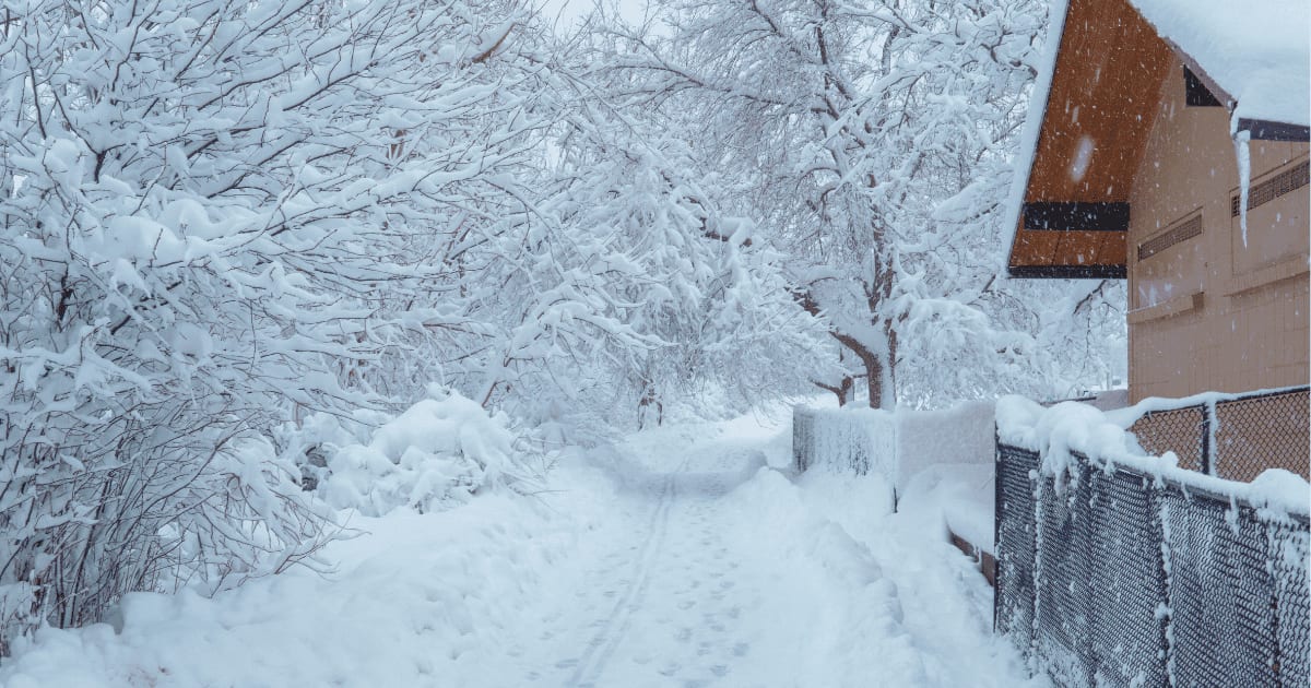 北海道の雪道でスタック体験記〜知っておきたい脱出のコツと装備〜