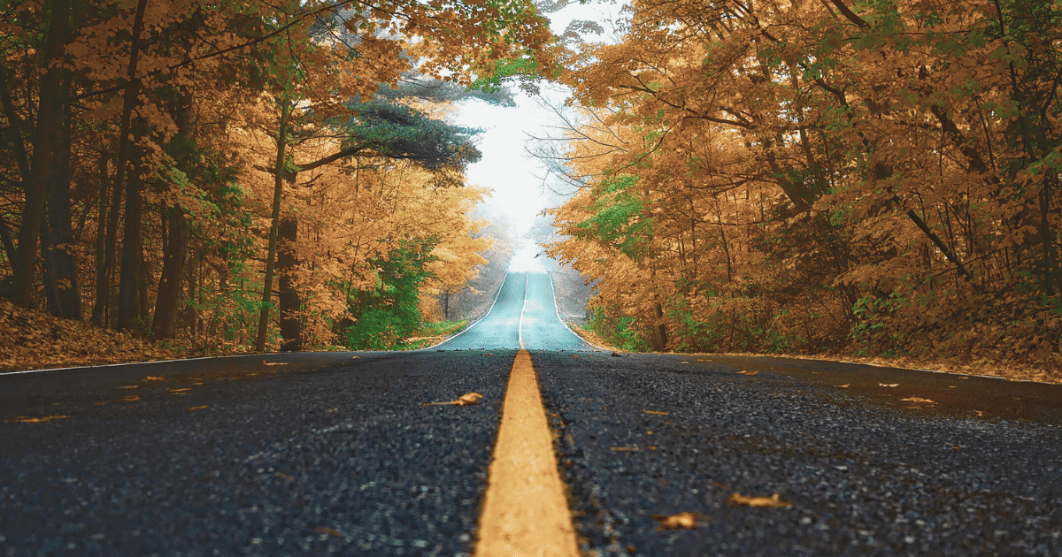 北海道・札幌近郊の紅葉ドライブスポット完全ガイド