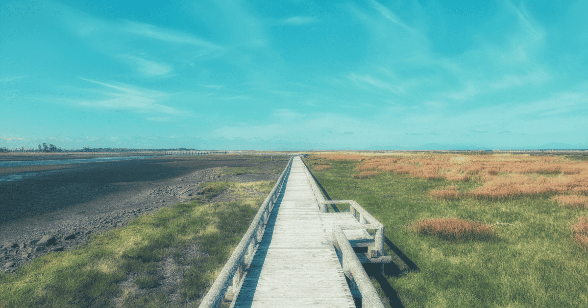 北海道の夏におすすめの避暑地7選!涼しく過ごせる絶景スポット完全ガイド